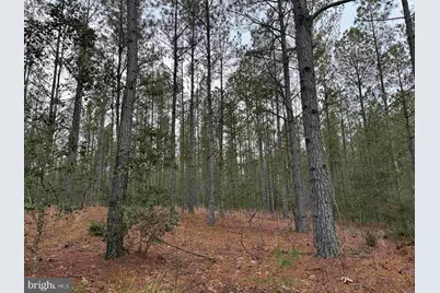 Dogwood Drive (Tract: Tanager Et2-2006), Farnham, VA 22460 - Photo 8