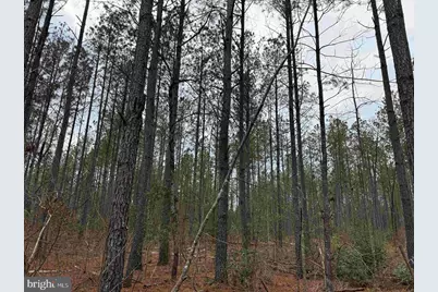 Dogwood Drive (Tract: Tanager Et2-2006), Farnham, VA 22460 - Photo 6