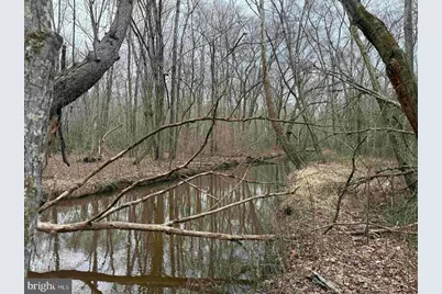 Dogwood Drive (Tract: Tanager Et2-2006), Farnham, VA 22460 - Photo 10