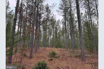 Dogwood Drive (Tract: Tanager Et2-2006), Farnham, VA 22460 - Photo 12