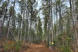 Dogwood Dr (Tract: Tanager Et2-2006), Farnham, VA 22460 - Photo 1