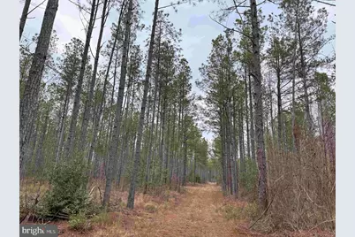 Dogwood Drive (Tract: Tanager Et2-2006), Farnham, VA 22460 - Photo 2