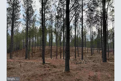 Calvary Church Road (Tract: Tanager Et2-2011), Warsaw, VA 22572 - Photo 2