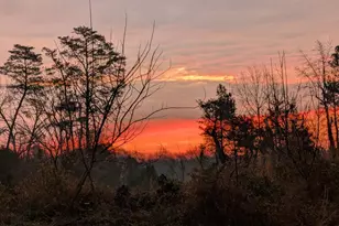 306 Jones Creek Rd, Warsaw, VA 22572 - Photo 40