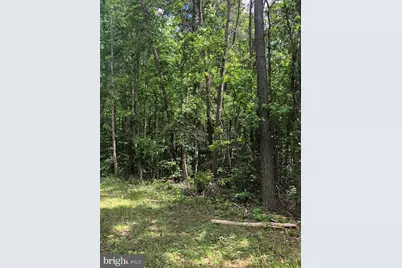 Turkey Trot, Warsaw, VA 22572 - Photo 2