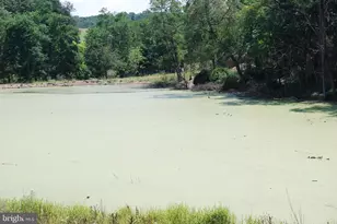 220 Stotelmyer Ln, Martinsburg, WV 25405 - Photo 58