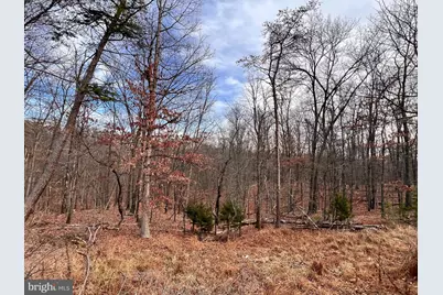 Lot 25 Nemacolin Trail, Hedgesville, WV 25427 - Photo 1