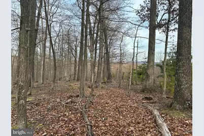 Lot 46 Pee Wee Lane, Hedgesville, WV 25427 - Photo 52