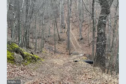 Lot 46 Pee Wee Lane, Hedgesville, WV 25427 - Photo 44