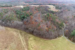 446 Broomgrass Way, Gerrardstown, WV 25420 - Photo 44