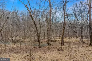 292 Big Park Rd, Hedgesville, WV 25427 - Photo 60