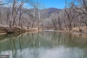 292 Big Park Rd, Hedgesville, WV 25427 - Photo 68