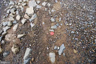 Dominion Rd, Gerrardstown, WV 25420 - Photo 58