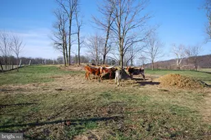 Dominion Rd, Gerrardstown, WV 25420 - Photo 56