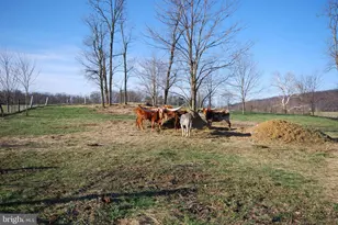 Dominion Rd, Gerrardstown, WV 25420 - Photo 24