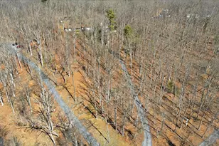 139 Arcadia Rd, Hedgesville, WV 25427 - Photo 26
