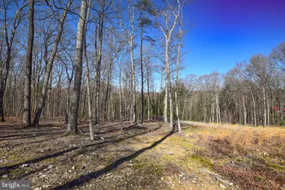 Lot 25 Vixen Lane, Gerrardstown, WV 25420 - Photo 8