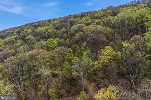 494 Glenwood Ln, Gerrardstown, WV 25420 - Photo 36