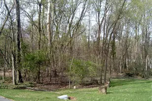 Lot 23 Emerald Dr, Falling Waters, WV 25419 - Photo 1