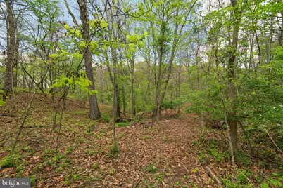 215 Ramblin Rose Lane, Martinsburg, WV 25404 - Photo 52