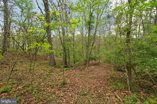 215 Ramblin Rose Ln, Martinsburg, WV 25404 - Photo 52