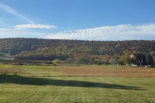 1643 Thatcher Rd, Martinsburg, WV 25403 - Photo 86
