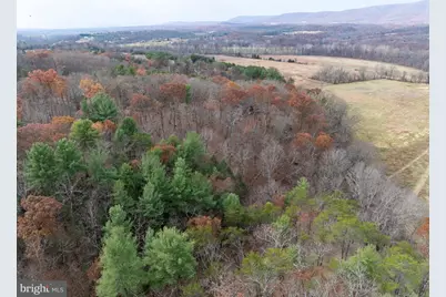 446 Broomgrass Way, Gerrardstown, WV 25420 - Photo 38