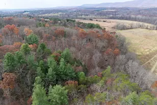 446 Broomgrass Way, Gerrardstown, WV 25420 - Photo 38