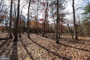 446 Broomgrass Way, Gerrardstown, WV 25420 - Photo 56