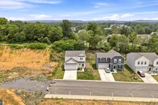 462 Ludgate Mnr, Falling Waters, WV 25419 - Photo 48