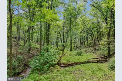 Tract 2 Grecian Lane, Hedgesville, WV 25427 - Photo 46