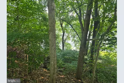 474 Temple Drive, Falling Waters, WV 25419 - Photo 30