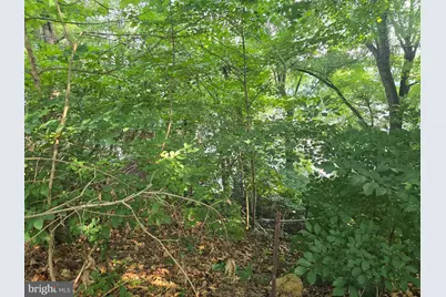 474 Temple Drive, Falling Waters, WV 25419 - Photo 28