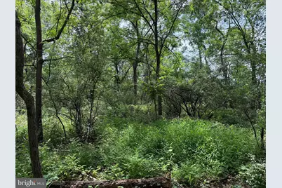 Tract 3: 2+/- Acres Id Van Metre Rd, Kearneysville, WV 25430 - Photo 6