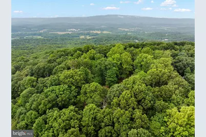 695 Vulpine Drive, Gerrardstown, WV 25420 - Photo 68