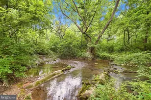 185 Scarboro Dr, Bunker Hill, WV 25413 - Photo 26