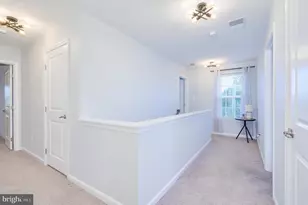 18 Trout River Terrace, Falling Waters, WV 25419 - Photo 62