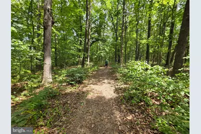 2.18 Acres On Getaway Road, Hedgesville, WV 25427 - Photo 4