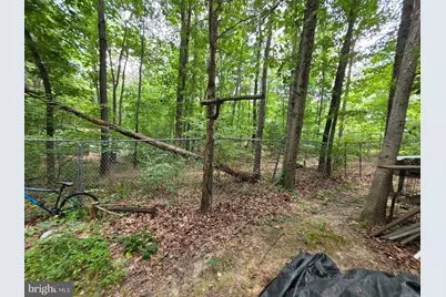 299 Getaway Rd, Hedgesville, WV 25427 - Photo 38