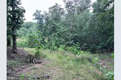 Basswood Drive Lot #9, Bunker Hill, WV 25413 - Photo 22