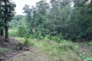 Basswood Dr Lot, Bunker Hill, WV 25413 - Photo 22