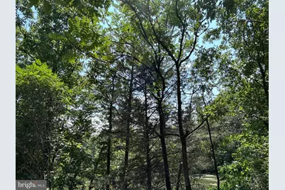 Basswood Drive Lot #9, Bunker Hill, WV 25413 - Photo 18
