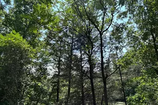 Basswood Dr Lot, Bunker Hill, WV 25413 - Photo 18