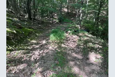 Lot 46 Peewee Lane, Hedgesville, WV 25427 - Photo 20