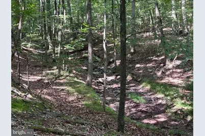 Lot 46 Peewee Lane, Hedgesville, WV 25427 - Photo 22
