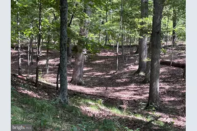 Lot 46 Peewee Lane, Hedgesville, WV 25427 - Photo 26