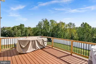 417 Eurasian Dr, Bunker Hill, WV 25413 - Photo 48