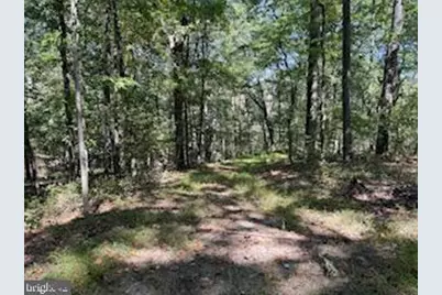 0 Palmer Road, Gerrardstown, WV 25420 - Photo 12