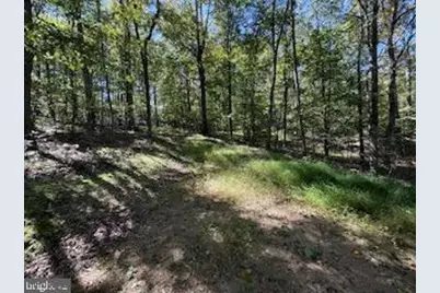 0 Palmer Road, Gerrardstown, WV 25420 - Photo 10