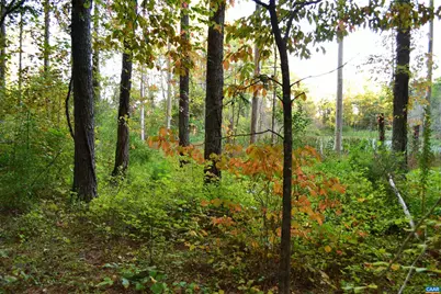 2A Scottsville Rd #2A, Charlottesville, VA 22902 - Photo 1